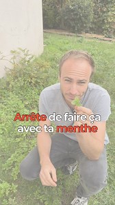 🌿 Arrête de planter ta menthe n’importe comment ! 🌿 Si tu ne veux pas te retrouver avec de la menthe sur 4 mètres de long (oui, oui, ça arrive !), écoute bien : 👉 La menthe, c’est hyper traçant, elle envahit tout. Alors, évite de la planter directement en pleine terre. ✅ La solution ? Soit tu la mets en pot, soit tu la plantes en pleine terre, mais contenue dans un pot pour maîtriser son expansion. Et toi, tu es plutôt Team Menthe Libre ou Team Menthe Contenue ? Dis-le-nous en commentaire ! #