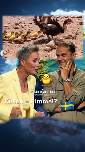 RTL Deutschland on Instagram: "Wieder was dazugelernt! 😅 Und das bleibt nicht der einzige Fun-Fact unter der Gürtellinie im großen GEO-Quiz - versprochen 🤭 📺 Wer holt den Sieg? Frauke & Nele Ludowig, Vanessa Mai & Rúrik Gíslason oder Oliver Kalkofe & Lutz van der Horst? Die Antwort gibt’s am 16. Januar um 20:15 Uhr bei RTL! 🤗 #GEO #GEOQuiz #RTL #SonjaZietlow #DirkSteffens 🌍 GeoQuiz; Geo; RTL; Co"