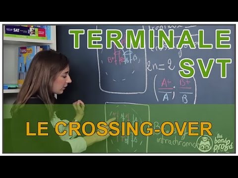 Crossover - SVT - Terminale - Les Bons Profs