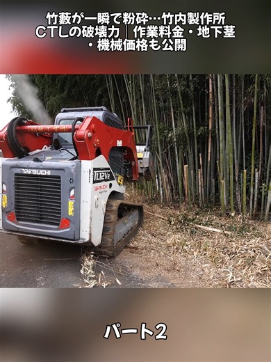 竹藪が一瞬で粉砕…竹内製作所CTLの破壊力｜作業料金・地下茎・機械価格も公開2#森林作業 #職人技 #現場記録 #作業風景 #林業 #自然と仕事 #山の仕事 #安全第一 #日本の仕事 #ドキュメンタリー #foryoup #foryoupage❤️❤️