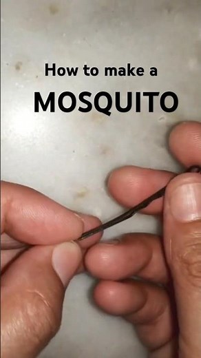 Bobbi pin Mosquito || MOSQUITO Pain || Things we did in school