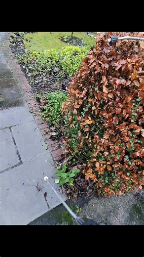 D.H Property Maintenance Ltd | 🧼 External Cleaning Services 🧼 ✔ Gutter cleaning ✔ PVC cleaning (fascias, soffits & cladding) ✔ Driveway cleaning ✔ Patio cleaning ✔ And... | Instagram