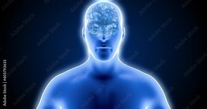 Inside the brain, neurons, the work of neurons, neuroplasticity, brain scan