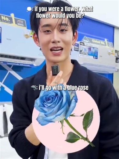 The Meaning of Blue Roses in Relationships