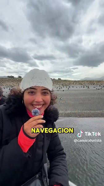 ESTA ES LA ISLA DE PINGÜINOS QUE TENES QUE VISTAR AL MENOS UNA VEZ✨: ISLA MARTILLO🐧❄️ Si soñás con ver pingüinos en su hábitat natural, esta excursión en Ushuaia te va a volar la cabeza 👇✨ En Isla Martillo vas a encontrar cientos de pingüinos en un entorno completamente natural, en uno de los rincones más australes del mundo. Para llegar hay que navegar por el Canal Beagle, y existen dos opciones: 🚤 Navegación corta (3 hs) hasta el Faro Les Éclaireurs 🚤 Navegación larga (6 hs) que llega hast
