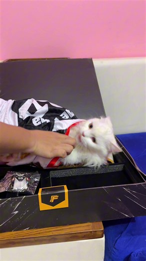 Garena Gift Box Free Fire - How to Claim Garena Gift