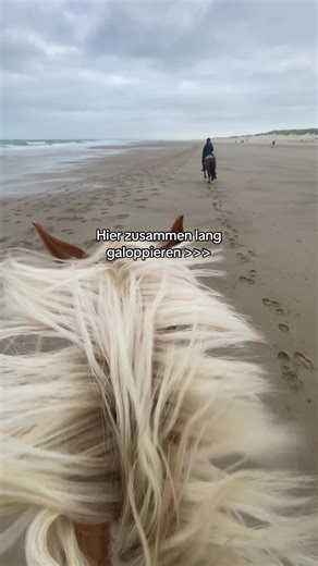 Galloping Together: Equestrian Adventures