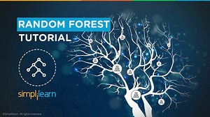 Random Forest Algorithm - Random Forest Explained | Random Forest in Machine L