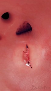 793K views · 8.8K reactions | This 3D animation takes you inside the...