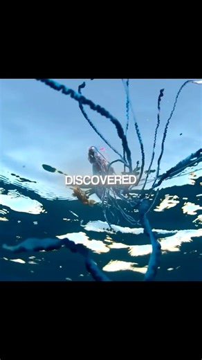 They Found This In The Deep Ocean 😱