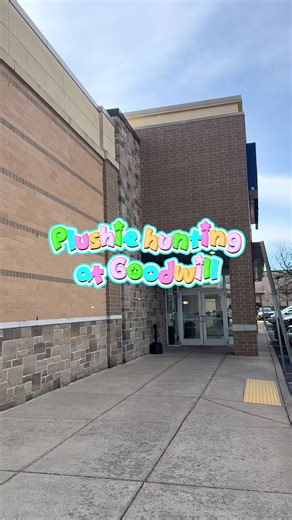Exciting Plushie and Toy Hunting at Goodwill