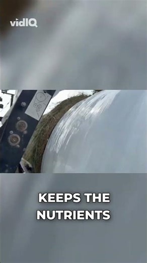 Top 3 Benefits of Wrapped Hay: Protect Your Crop & Boost Nutrients!