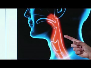 Santé - Papillomavirus tous concernés