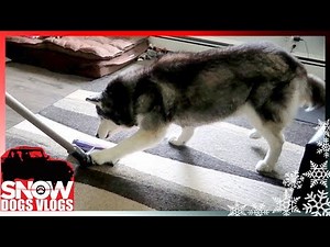 OAKLEY PLAYS WITH WHAT ?