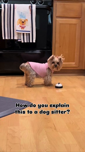 🦴 She eats on her own schedule | eat