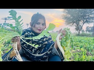 ⭐ “Relaxing Nature ASMR | Fresh Farm Sounds for Deep Calm”and cuttings sound 🥒🥦🥬