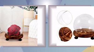 iplusmile Cloche Glass Display Dome with Wooden Base for Preserving Flowers Miniature Plants and Home Decor Elegant and Versatile Cloche Glass Dome for Dust and Display