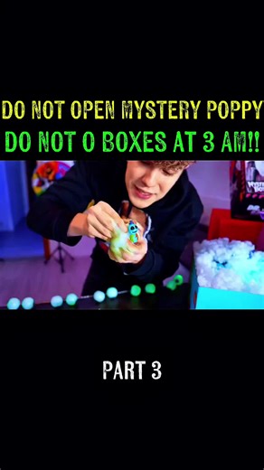 Do Not Open Mystery Poppy Boxes at 3 AM: Shocking Reveal