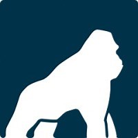 Health Gorilla | LinkedIn