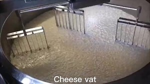 Full Automatic Small Cheese Production Line Mozzarella Cheese Making Machine