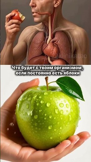 Что будет с тобой, если есть яблоки каждый день?