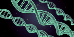 Assessing how Many Mutations are Needed for Cancer to Develop | Genetics And Genomics
