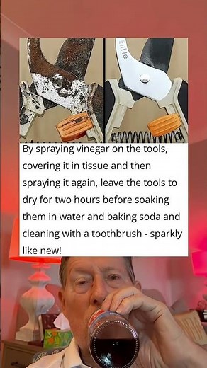 Clean Rusty Tools with Vinegar and Baking Soda: They Will Shine Like New.