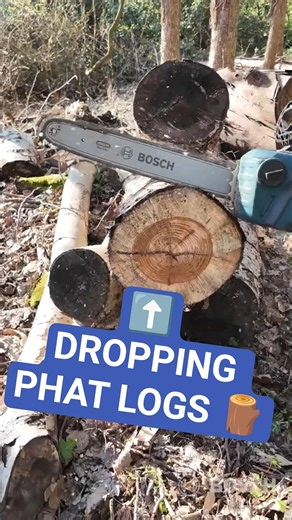 Dropping Logs With Ease | GKE18V-40 #shorts