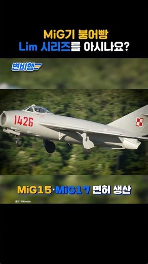 MiG기 붕어빵 Lim 시리즈를 아시나요? #변비행