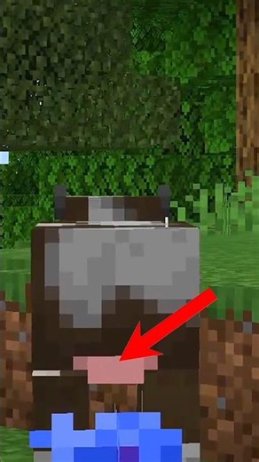 MINECRAFT, But I Can’t Touch Color PINK! 💖 #minecraft #shorts #shortsfeed