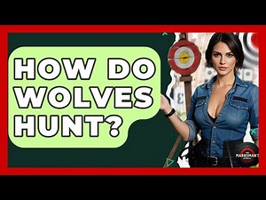How Do Wolves Hunt? - The Marksman's Journal