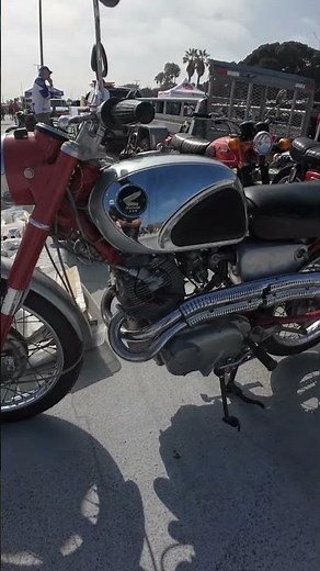 1964 Honda CB77 Super Hawk