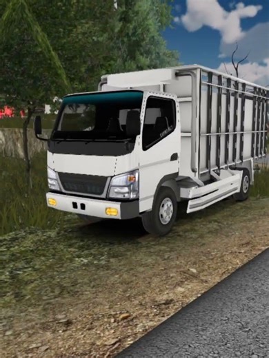 modif. truk. canter. 😎😎