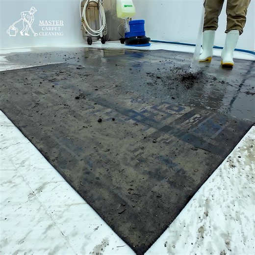 Dirty to Spotless – The Most Satisfying Carpet Cleaning Ever! #clean #relaxing #CarpetCleaning #RugClean #cleaning | Master Carpet Cleaning