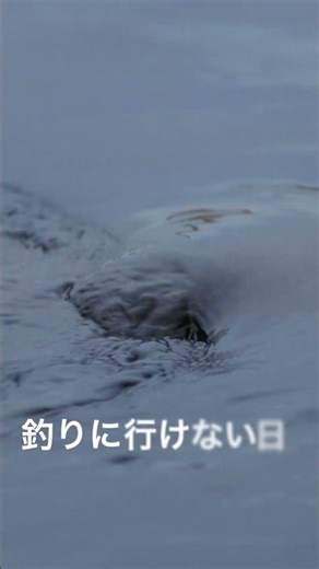 釣りに行けないひあるある