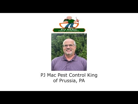 PJ Mac Pest Control King of Prussia, PA - PJ Mac Pest Control