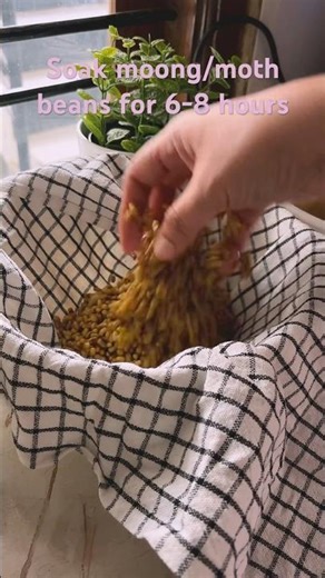 Perfect Sprouts Every Time | Easy Home Method#Shorts