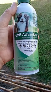 Watch Honest Review- Advantage Flea and Tick Treatment Spray on Amazon Live