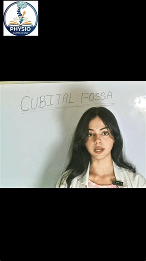 Cubital Fossa Anatomy | Boundaries Explained Easy Trick | Upper Limb Anatomy | BPT Students