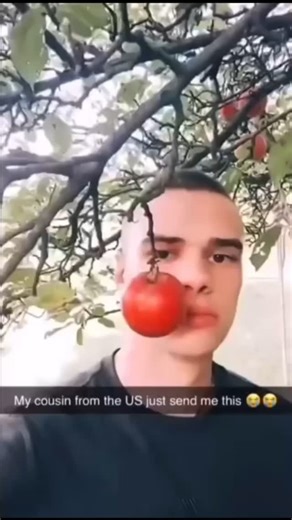 cro on Instagram: "Biologica #thevoid #meme #brainrot #lobotomy #viral #animals #dog #game #soyjack #chudjak #funny #scary #content #horror #jumpscare #csgo #cs2 #cat #whale #huh #animation #CapCut #Insta #Instagram #tiktok"