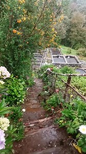 Betty's Lodge & Trout farm at the foot of Mt Wilhelm, Gembogl, Simbu Province 🇵🇬 Betty's Lodge | Femili Studio