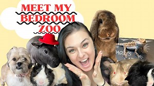 Meet My Bedroom Zoo | All 9 of My Pets