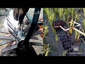 How to make a DIY Paddy Weeder (basic)..SRI manual weeding tools