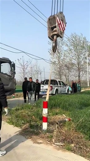 How to Move Pigs Easily in a Corridor (Pro Tips!)