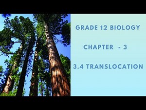 Grade 12 Biology: Chapter 3 - part 6