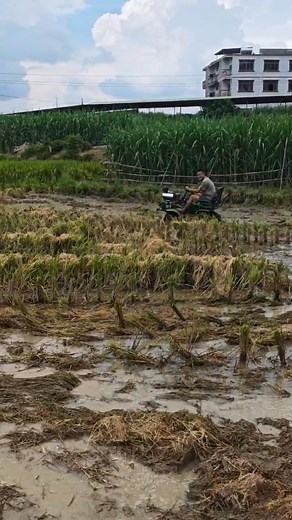 247K views · 1.3K reactions |  MÁY XỚI 4 BÁNH NGỒI LÁI ZENGTENG –...