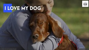 I love my dog. Do you ? | Animal Lovers Club