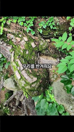 포천 여행 가기 전 꼭 봐야 할 백운계곡 & 산정호수
