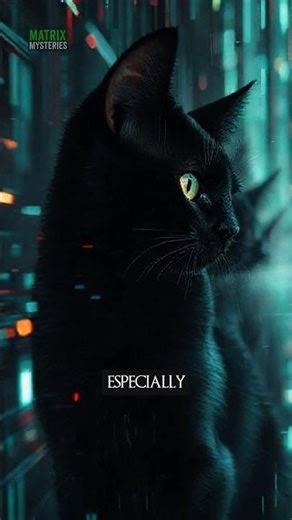 The Secret Code Hidden in the Matrix