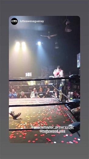 Reel Hollywood AWE Wrestling on Reels